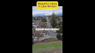 Living in Blossom Valley And Enjoy The Foothill Views and Nature!