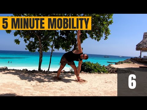 5 Minute Mobility 6