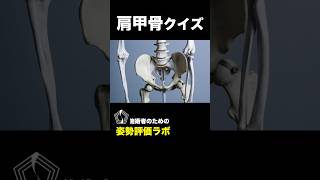 【肩甲骨】どんな動きがあるか知っていますか？肩甲骨評価をする上で基礎になる部分！しっかり覚えておきましょう！ #アナトミートレイン #姿勢評価 #筋膜