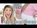 EARLY LABOR SIGNS! | 36 WEEKS PREGNANCY UPDATE! @THEMILLERS