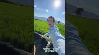 风吹又日晒，自由又自在 ❤️🥰#horseriding #horsevideo #horses #horse