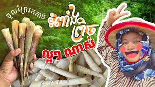 ខែនេះសប្បាយកាច់ទំពាំងព្រិច ដុះចេញមកល្អៗដល់ហើយ