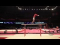 REGHIB Mohamed (ALG) - 2015 Artistic Worlds - Qualifications Parallel Bars