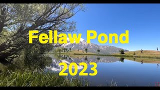 Fellaw Pond  Choman in Erbil province  #4k