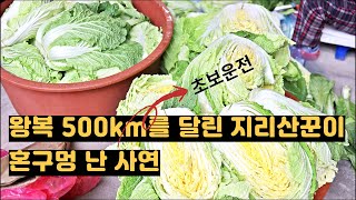 [충북 사투리] 80대 엄마와 50대 딸의 좌충우돌 김장 담그기