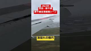 激揺れの新千歳空港着陸シーン！