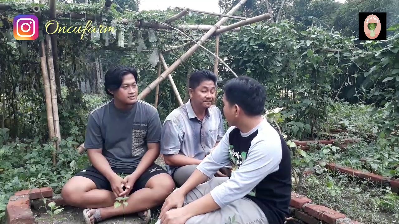 Tips Menjadi Youtuber Bagi Pemula Youtube