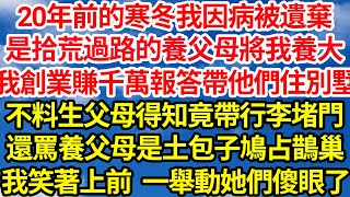 20年前的寒冬我因病被遺棄，是拾荒過路的養父母將我養大，我創業賺千萬報答帶他們住別墅，不料生父母得知竟帶行李堵門，還罵養父母是土包子來鳩占鵲巢，我笑著上前一舉動她們傻眼了||笑看人生情感生活