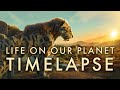 Life On Our Planet - Timelapse