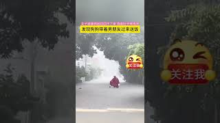 社会百态 | 女子被暴雨困住回不了家 饿着肚子等雨停,发现狗狗带着男朋友过来送饭