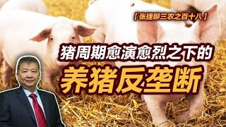 【张捷聊三农之百十八】猪周期愈演愈烈之下的养猪反垄断