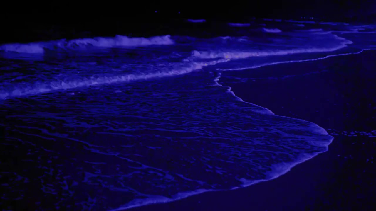 Ocean Waves White Noise For Sleeping 10 Hours Youtube