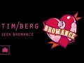 tim berg seek bromance avicii s vocal edit