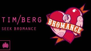 Tim Berg - 'Seek Bromance' (Avicii's Vocal Edit)