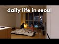 newlywed life in seoul 🇰🇷 making a house a home 🏠 catching the flu, renovations, new furniture