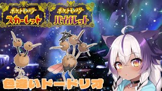 【ポケモンSV】色違いドードー → ドードリオ【ポケットモンスタースカーレットバイオレット】