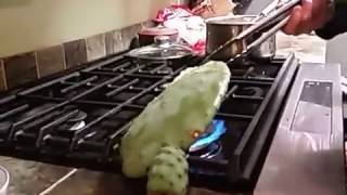 How to prep & remove Nopal Cactus (prickly pear cactus) spines - That was easy.