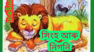 সাধু/ সিংহ আৰু নিগনি/ Story/Lion and mouse Tales