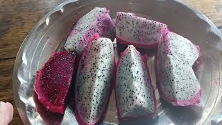 Eating Dragon fruit at Thingphai Village