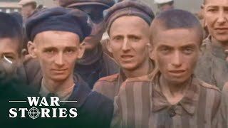 "Death Was A Luxury": The Horrors Of The Holocaust Explained