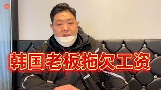 韩国|中国河南大哥来韩国打工，老板不给开支，家里媳妇孩子还等着钱用！【韩国打工生活小胖】