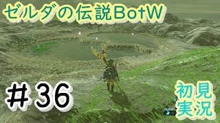 【初見実況】運命の人と出会える伝説のラブポンド…！？【ゼルダの伝説BotW】＃３６