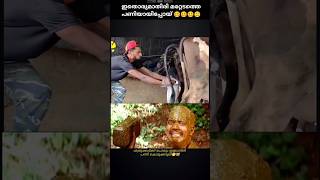 ചാണകം കൊണ്ട് കേക്ക് 😑😑🥴🥴 #prank #prankvideo #pranks #viralprankvideo #mallu #instareels #viralshorts