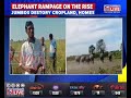 Elephant rampage on the rise in Assam's Goalpara