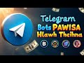 TELEGRAM BOTS PAWISA HLAWH THEIHNA TUR