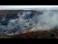 Amazon Wildfires Spark Global Concern, Outrage