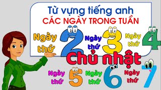 Bé học tiếng anh các thứ ngày trong tuần, song ngữ ANH VIỆT - Thanh nấm