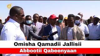 Omisha Qamadii Jallisii Abbootii Qabeenyaan