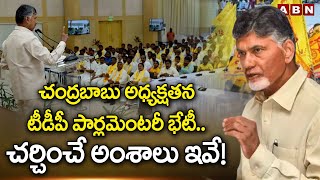 చంద్రబాబు అధ్యక్షతన టీడీపీ పార్లమెంటరీ భేటీ .. చర్చించే అంశాలు ఇవే! | TDP Parliamentary meeting |ABN