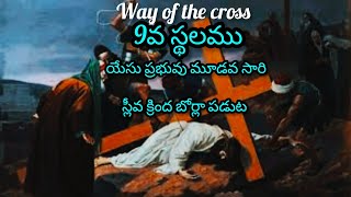 way of the cross/9వ స్థలం /యేసుప్రభువు 3వ సారి స్లీవ క్రింద బోర్ల పడుట