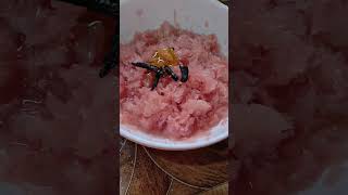 Batabi lebu makha #shorts #trending #bengalifood #viral #youtubeshorts #cooking