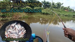 ตกปลาแม่น้ำมูลหมานๆ...แต่เกือบเอาตัวไม่รอด!