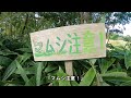 陣馬形山（長野県中川村）南信州屈指の絶景！／キャンプや登山にもおすすめ！／伊那谷を一望／車で気軽に行ける絶景スポット！　vlog.6