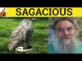 🔵 Sagacious Sagacity - Sagacious Meaning - Sagacity Examples - Sagaciously Definition-GRE Vocabulary