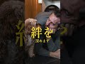 愛犬がもっとあなたを好きになる飼い主の習慣4選 犬の豆知識 犬の雑学 犬の健康 犬好きさんと繋がりたい 犬のいる暮らし