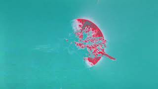 SubDocta - Cataclysmic [OFFICIAL VISUALIZER]