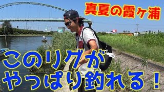 熱湯の霞ヶ浦このリグなら簡単に釣れる！！  バス釣り  霞水系