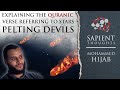 Sapient Thoughts #5: Explaining the Quranic verse referring to stars pelting devils | Mohammed Hijab