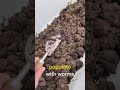 how to make organic fertaliser wormfarm compost fertalizer