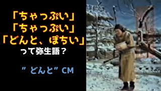 「ちゃっぷい、ちゃっぷい、どんと、ぽちい」って弥生語なの？