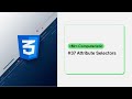 CSS Attribute Selectors - How to target HTML elements with attriutes? - CSS tutorials for beginerns