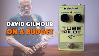 Can This Pedal Really Sound Like Gilmour? | TC Electronic Tube Pilot Review