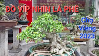 CHỢ VIỀNG NAM ĐỊNH 2023 ! Chiêm ngưỡng giàn cây Bonsai RẤT ...RẤT QUÝ của CÔNG BÚN .