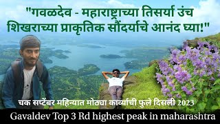 gavaldev fort | महाराष्ट्रातील 3 नंबरचे सर्वोच्च शिखर 3rd highest peak in maharashtra | gavaldev top