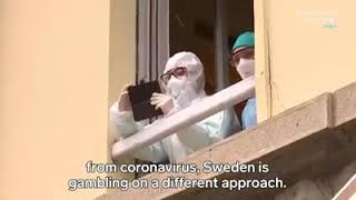 Sweden refused  lockdown