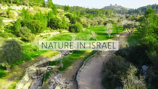 Ayalon Canada Park - Jewish National Fund of Israel